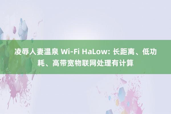 凌辱人妻温泉 Wi-Fi HaLow: 长距离、低功耗、高带宽物联网处理有计算