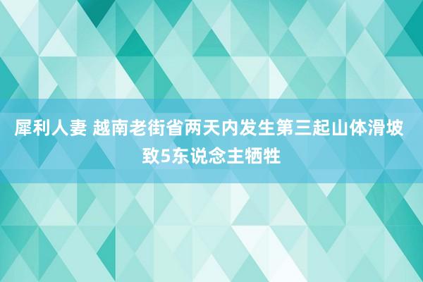 犀利人妻 越南老街省两天内发生第三起山体滑坡 致5东说念主牺牲