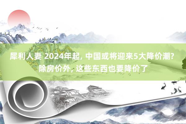 犀利人妻 2024年起, 中国或将迎来5大降价潮? 除房价外, 这些东西也要降价了