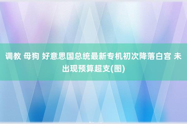 调教 母狗 好意思国总统最新专机初次降落白宫 未出现预算超支(图)