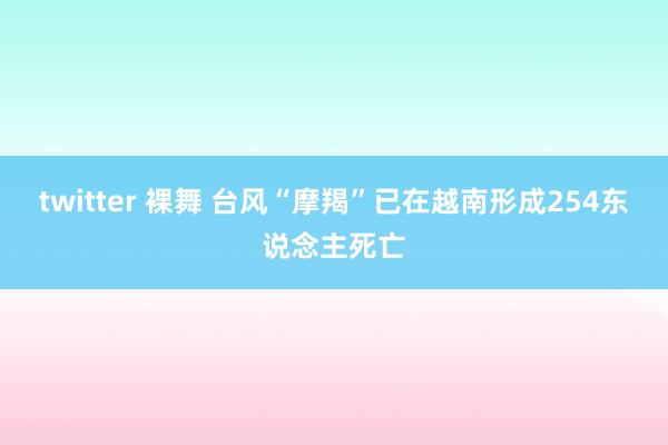 twitter 裸舞 台风“摩羯”已在越南形成254东说念主死亡