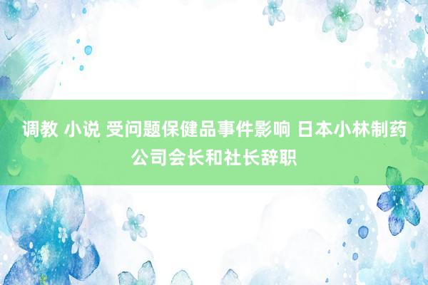 调教 小说 受问题保健品事件影响 日本小林制药公司会长和社长辞职