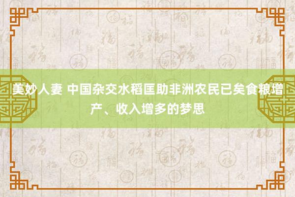 美妙人妻 中国杂交水稻匡助非洲农民已矣食粮增产、收入增多的梦思