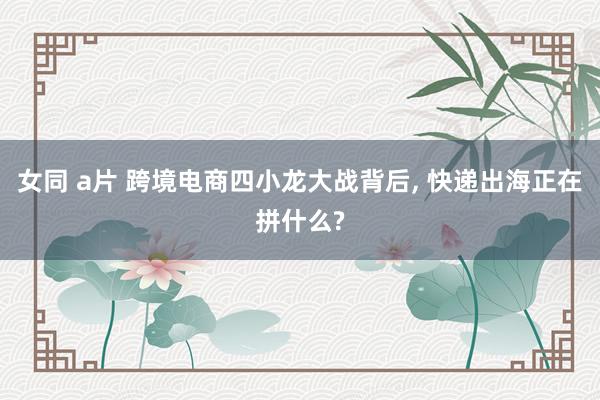 女同 a片 跨境电商四小龙大战背后, 快递出海正在拼什么?