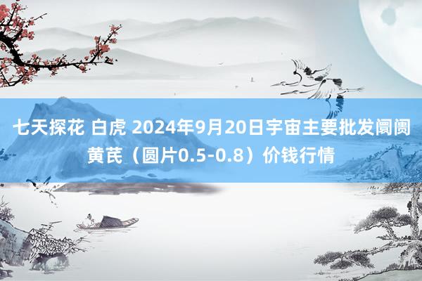 七天探花 白虎 2024年9月20日宇宙主要批发阛阓黄芪（圆片0.5-0.8）价钱行情