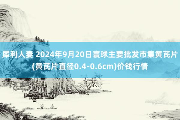 犀利人妻 2024年9月20日寰球主要批发市集黄芪片(黄芪片直径0.4-0.6cm)价钱行情