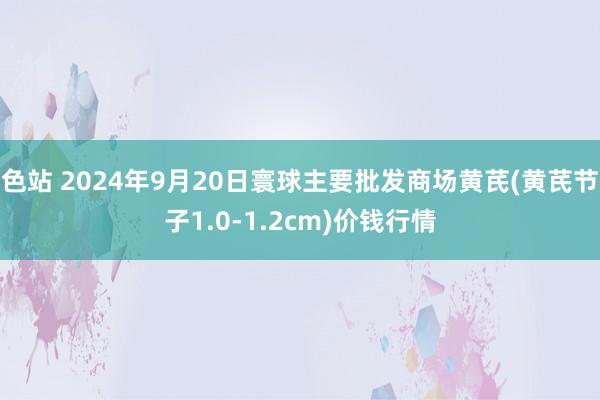 色站 2024年9月20日寰球主要批发商场黄芪(黄芪节子1.0-1.2cm)价钱行情