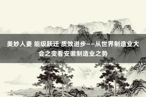 美妙人妻 能级跃迁 质效进步——从世界制造业大会之变看安徽制造业之势