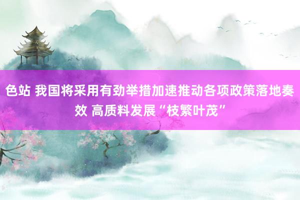 色站 我国将采用有劲举措加速推动各项政策落地奏效 高质料发展“枝繁叶茂”