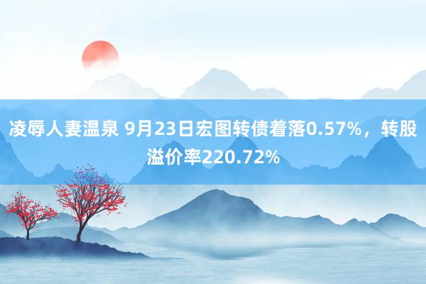 凌辱人妻温泉 9月23日宏图转债着落0.57%，转股溢价率220.72%