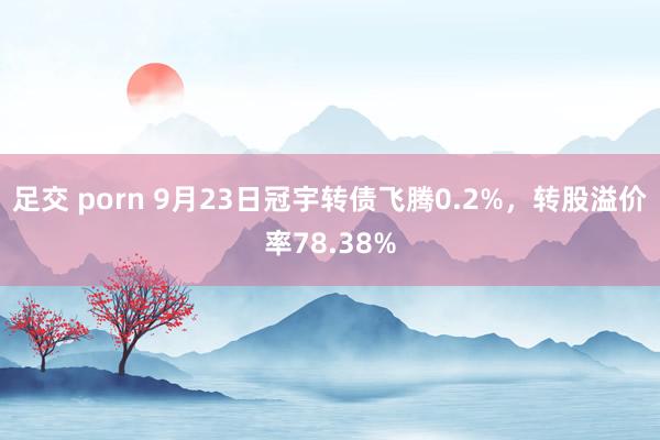 足交 porn 9月23日冠宇转债飞腾0.2%，转股溢价率78.38%