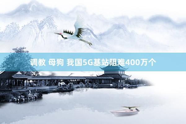 调教 母狗 我国5G基站阻难400万个