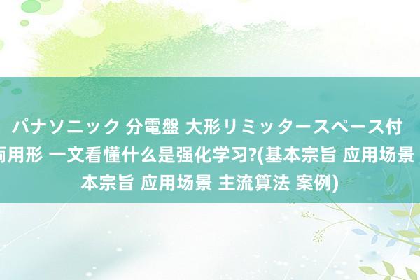 パナソニック 分電盤 大形リミッタースペース付 露出・半埋込両用形 一文看懂什么是强化学习?(基本宗旨 应用场景 主流算法 案例)