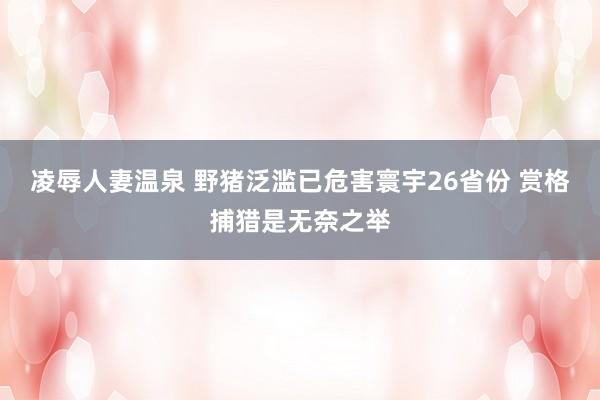 凌辱人妻温泉 野猪泛滥已危害寰宇26省份 赏格捕猎是无奈之举