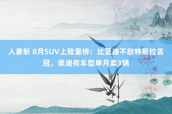 人妻斩 8月SUV上险量榜：比亚迪不敌特斯拉丢冠，奥迪有车型单月卖3辆