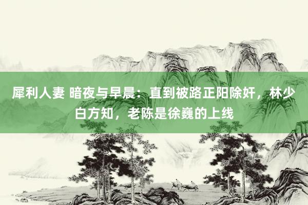 犀利人妻 暗夜与早晨：直到被路正阳除奸，林少白方知，老陈是徐巍的上线