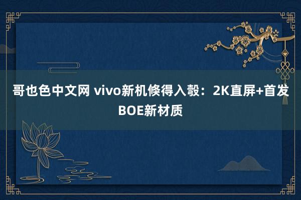 哥也色中文网 vivo新机倏得入彀：2K直屏+首发BOE新材质