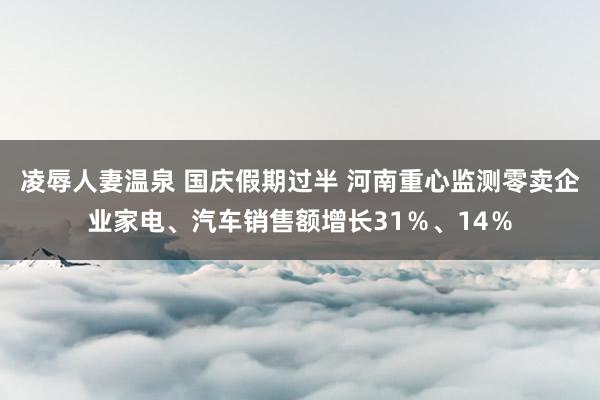 凌辱人妻温泉 国庆假期过半 河南重心监测零卖企业家电、汽车销售额增长31％、14％