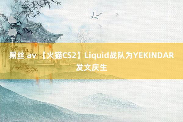 黑丝 av 【火猫CS2】Liquid战队为YEKINDAR发文庆生