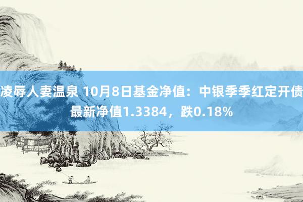 凌辱人妻温泉 10月8日基金净值：中银季季红定开债最新净值1.3384，跌0.18%