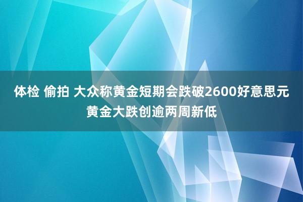 体检 偷拍 大众称黄金短期会跌破2600好意思元黄金大跌创逾两周新低