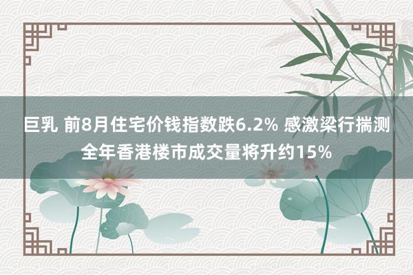 巨乳 前8月住宅价钱指数跌6.2% 感激梁行揣测全年香港楼市成交量将升约15%