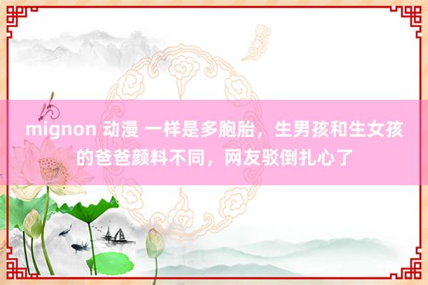 mignon 动漫 一样是多胞胎，生男孩和生女孩的爸爸颜料不同，网友驳倒扎心了