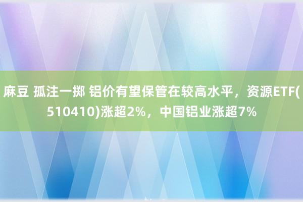 麻豆 孤注一掷 铝价有望保管在较高水平，资源ETF(510410)涨超2%，中国铝业涨超7%