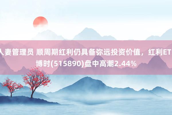 人妻管理员 顺周期红利仍具备弥远投资价值，红利ETF博时(515890)盘中高潮2.44%