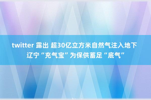 twitter 露出 超30亿立方米自然气注入地下 辽宁“充气宝”为保供蓄足“底气”