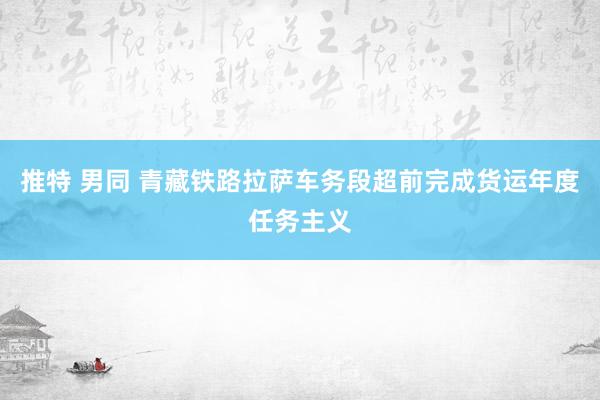 推特 男同 青藏铁路拉萨车务段超前完成货运年度任务主义