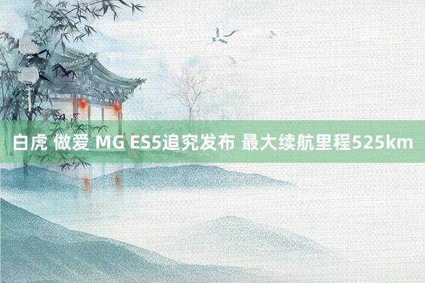 白虎 做爱 MG ES5追究发布 最大续航里程525km