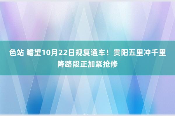 色站 瞻望10月22日规复通车！贵阳五里冲千里降路段正加紧抢修