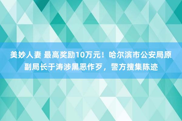 美妙人妻 最高奖励10万元！哈尔滨市公安局原副局长于涛涉黑恶作歹，警方搜集陈迹