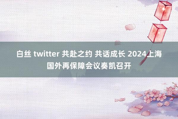 白丝 twitter 共赴之约 共话成长 2024上海国外再保障会议奏凯召开