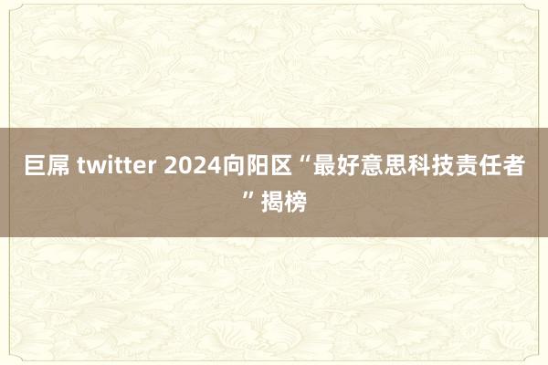 巨屌 twitter 2024向阳区“最好意思科技责任者”揭榜