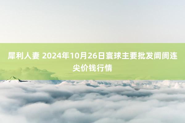 犀利人妻 2024年10月26日寰球主要批发阛阓连尖价钱行情