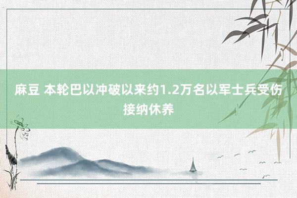 麻豆 本轮巴以冲破以来约1.2万名以军士兵受伤接纳休养