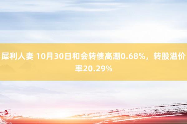 犀利人妻 10月30日和会转债高潮0.68%，转股溢价率20.29%