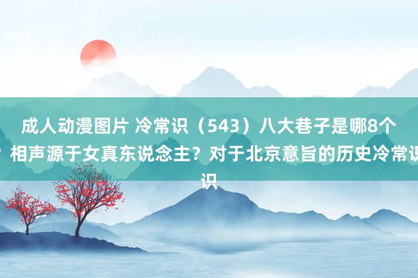 成人动漫图片 冷常识（543）八大巷子是哪8个？相声源于女真东说念主？对于北京意旨的历史冷常识