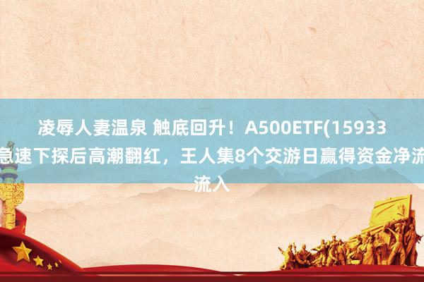 凌辱人妻温泉 触底回升！A500ETF(159339)急速下探后高潮翻红，王人集8个交游日赢得资金净流入