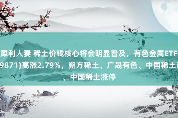 犀利人妻 稀土价钱核心将会明显普及，有色金属ETF(159871)高涨2.79%，朔方稀土、广晟有色、中国稀土涨停