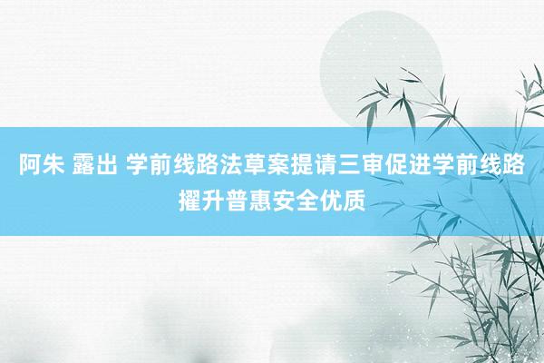 阿朱 露出 学前线路法草案提请三审促进学前线路擢升普惠安全优质