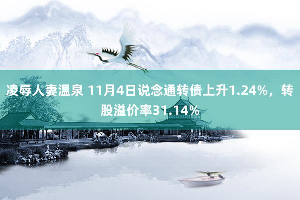 凌辱人妻温泉 11月4日说念通转债上升1.24%，转股溢价率31.14%