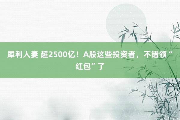 犀利人妻 超2500亿！A股这些投资者，不错领“红包”了