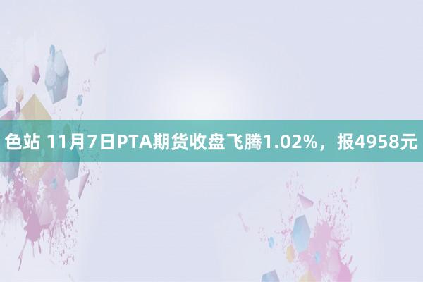 色站 11月7日PTA期货收盘飞腾1.02%，报4958元