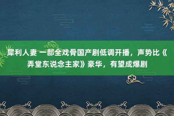 犀利人妻 一部全戏骨国产剧低调开播，声势比《弄堂东说念主家》豪华，有望成爆剧