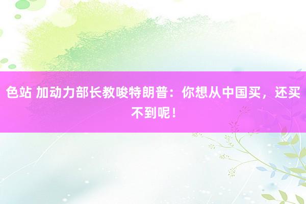 色站 加动力部长教唆特朗普：你想从中国买，还买不到呢！