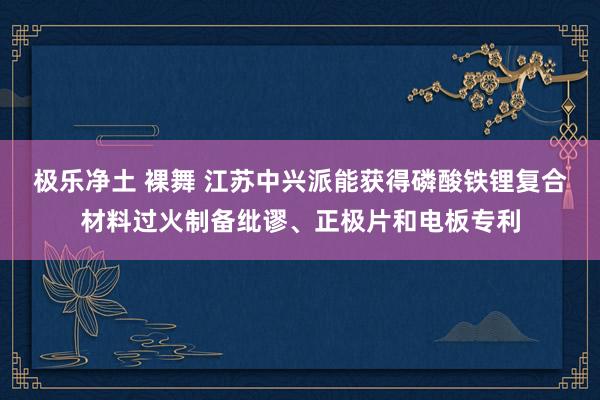 极乐净土 裸舞 江苏中兴派能获得磷酸铁锂复合材料过火制备纰谬、正极片和电板专利