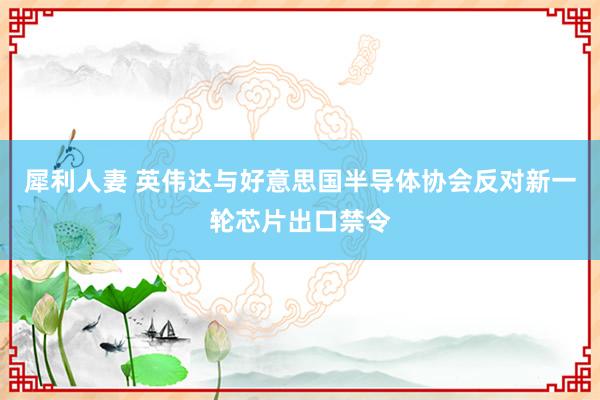 犀利人妻 英伟达与好意思国半导体协会反对新一轮芯片出口禁令